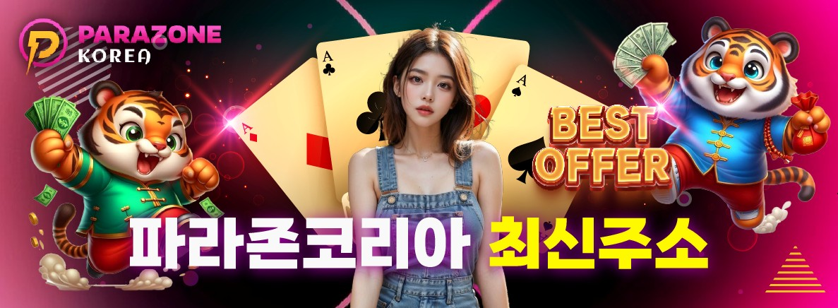 파라존코리아 최신 접속 주소 안내 – 차단 우회 및 안전 접속법 총정리